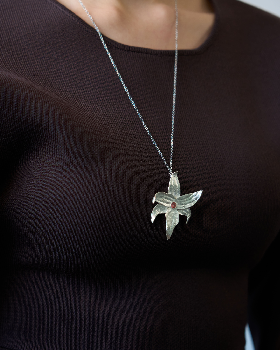 Collar Aurora