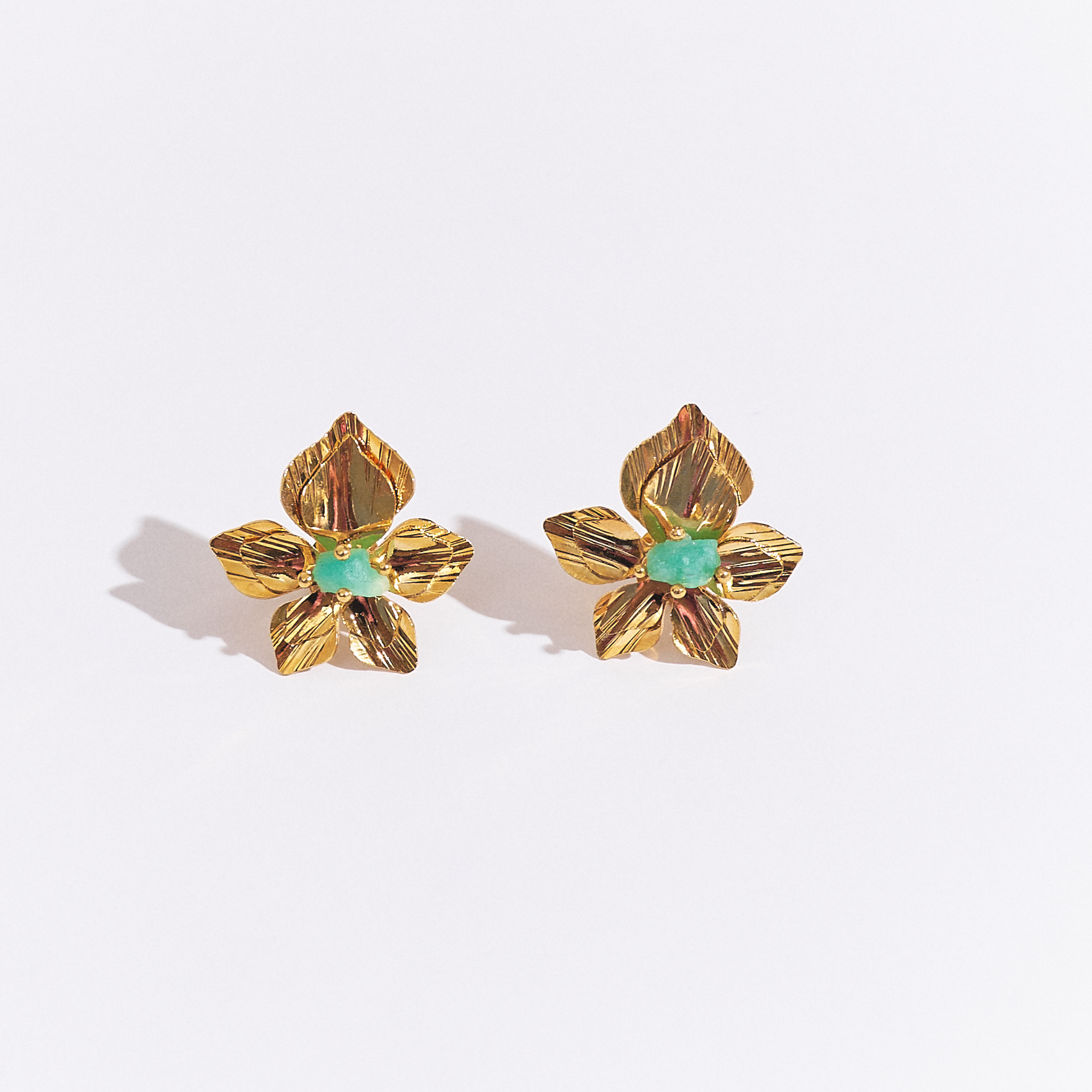 Aretes Frailejón