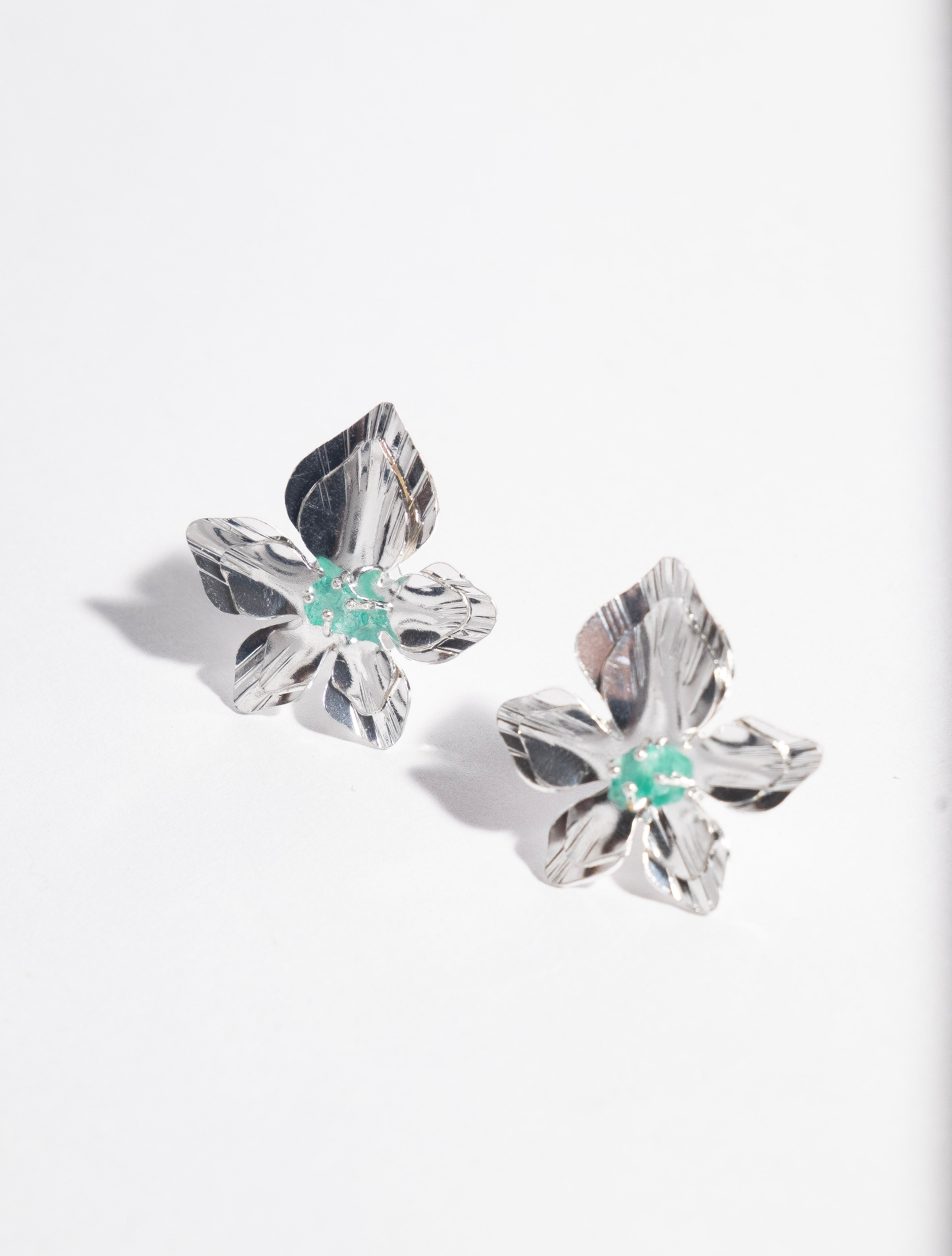 Aretes Frailejón